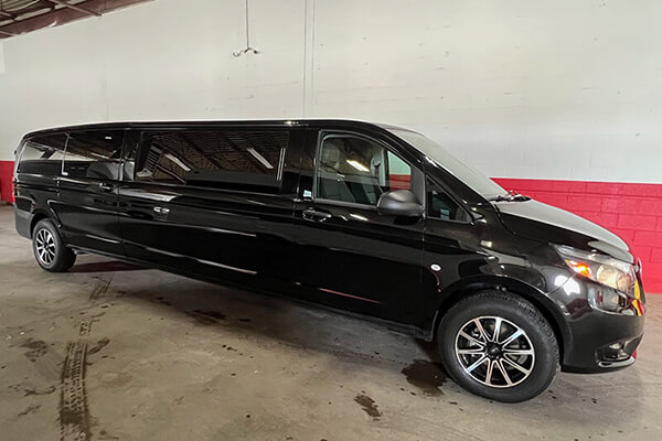Btb Party Bus fleet