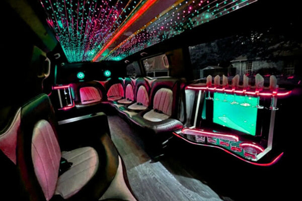 Btb Party Bus fleet
